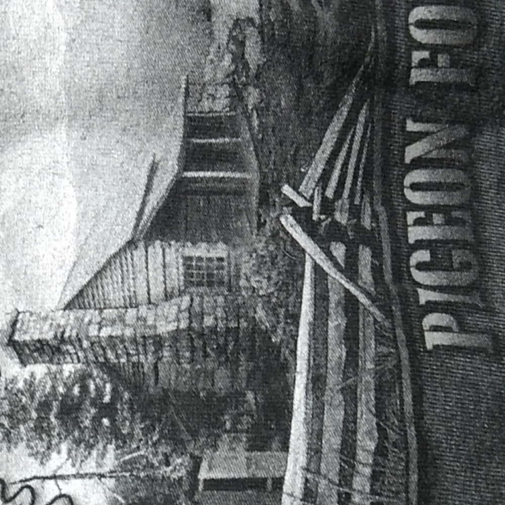 SALE! Harley Davidson Motorcycle Rocky Top Pigeon ForgeTN Long Sleeve Tee (BX51) - Picture 12 of 16